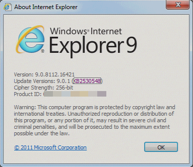 Windows: Versão 7, 8 ou 10
Internet Explorer: Versão 11
